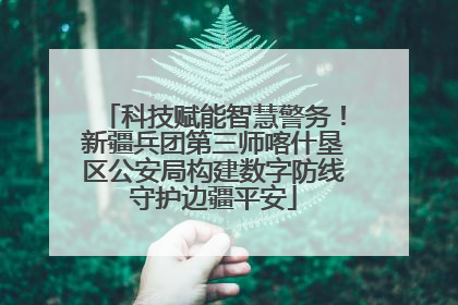 科技赋能智慧警务！新疆兵团第三师喀什垦区公安局构建数字防线守护边疆平安