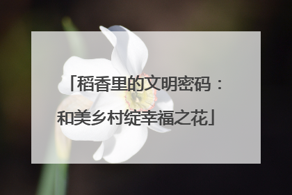 稻香里的文明密码：和美乡村绽幸福之花