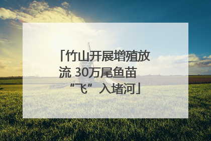 竹山开展增殖放流 30万尾鱼苗“飞”入堵河