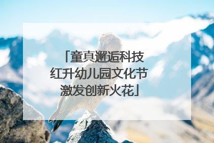童真邂逅科技 红升幼儿园文化节激发创新火花