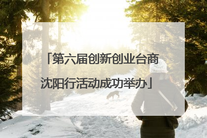 第六届创新创业台商沈阳行活动成功举办