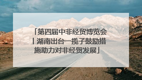 第四届中非经贸博览会丨湖南出台一揽子鼓励措施助力对非经贸发展