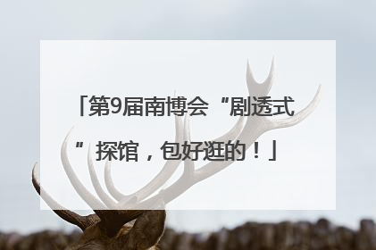 第9届南博会“剧透式”探馆，包好逛的！
