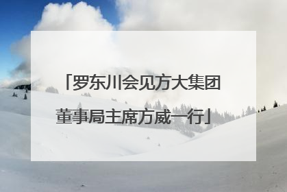 罗东川会见方大集团董事局主席方威一行