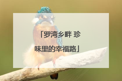 罗湾乡畔 珍味里的幸福路