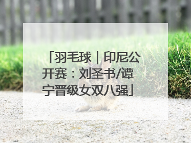 羽毛球｜印尼公开赛：刘圣书/谭宁晋级女双八强