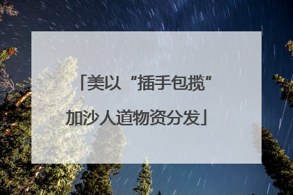 美以“插手包揽”加沙人道物资分发