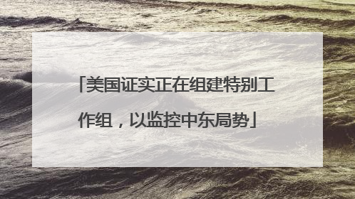 美国证实正在组建特别工作组，以监控中东局势