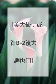 美大使：或许B-2该去趟也门