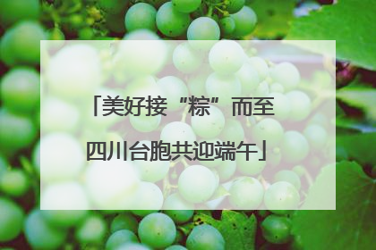 美好接“粽”而至 四川台胞共迎端午