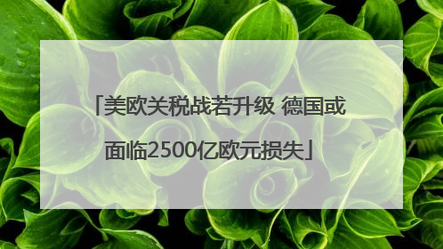 美欧关税战若升级 德国或面临2500亿欧元损失