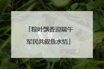 粽叶飘香迎端午 军民共叙鱼水情