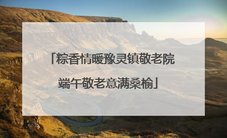 粽香情暖豫灵镇敬老院 端午敬老意满桑榆