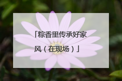 粽香里传承好家风（在现场）