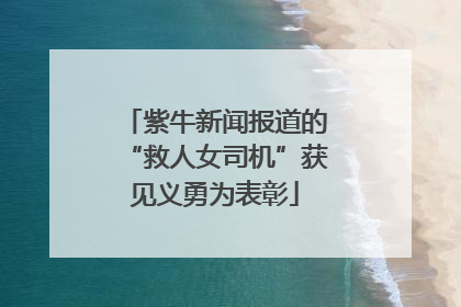 紫牛新闻报道的“救人女司机”获见义勇为表彰