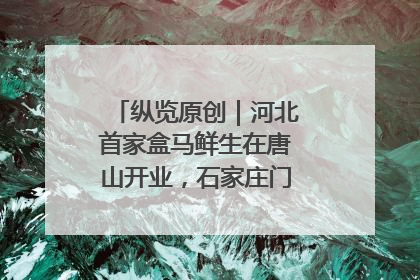 纵览原创｜河北首家盒马鲜生在唐山开业，石家庄门店预计8月开业
