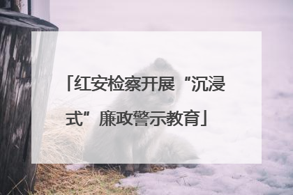 红安检察开展“沉浸式”廉政警示教育