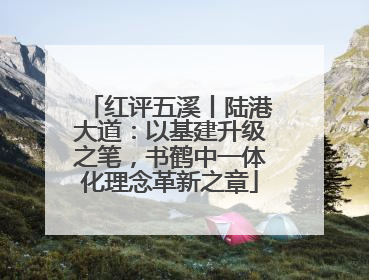 红评五溪丨陆港大道：以基建升级之笔，书鹤中一体化理念革新之章