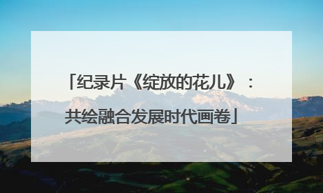 纪录片《绽放的花儿》：共绘融合发展时代画卷