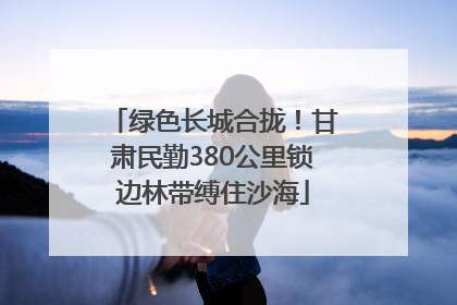 绿色长城合拢！甘肃民勤380公里锁边林带缚住沙海