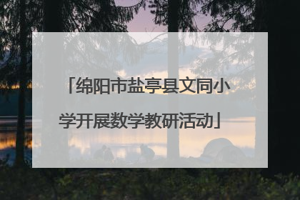 绵阳市盐亭县文同小学开展数学教研活动