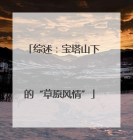 综述：宝塔山下的“草原风情”