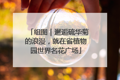 组图｜邂逅硫华菊的浪漫，就在省植物园世界名花广场
