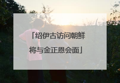 绍伊古访问朝鲜 将与金正恩会面
