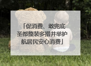 促消费、敢兜底 圣都整装多措并举护航居民安心消费