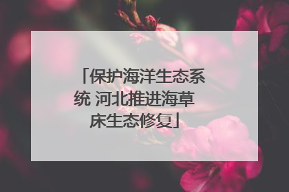 保护海洋生态系统 河北推进海草床生态修复