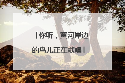你听，黄河岸边的鸟儿正在歌唱