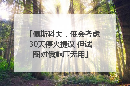 佩斯科夫：俄会考虑30天停火提议 但试图对俄施压无用