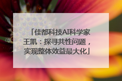 佳都科技AI科学家王凯：探寻共性问题，实现整体效益最大化
