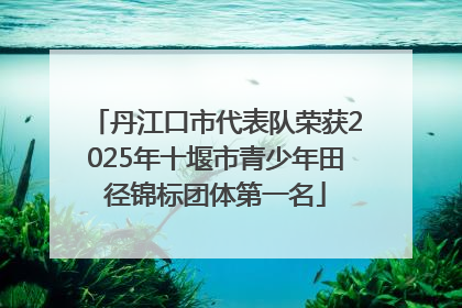 丹江口市代表队荣获2025年十堰市青少年田径锦标团体第一名