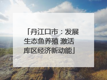 丹江口市：发展生态鱼养殖 激活库区经济新动能