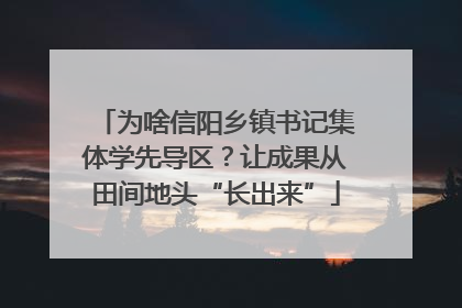 为啥信阳乡镇书记集体学先导区？让成果从田间地头“长出来”
