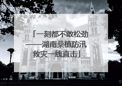 一刻都不敢松劲——湖南桑植防汛救灾一线直击