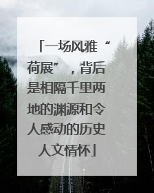 一场风雅“荷展”，背后是相隔千里两地的渊源和令人感动的历史人文情怀