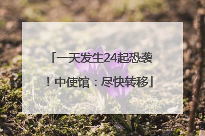 一天发生24起恐袭！中使馆：尽快转移