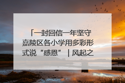 一封回信一年坚守 嘉陵区各小学用多彩形式说“感恩”｜风起之江 扶摇直上