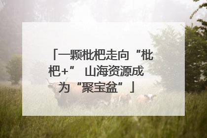 一颗枇杷走向“枇杷+” 山海资源成为“聚宝盆”