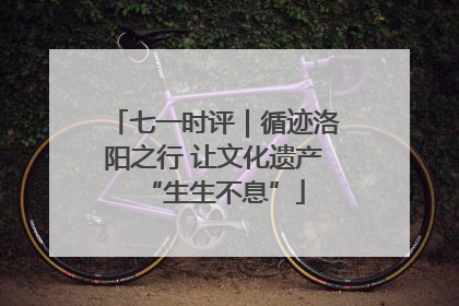 七一时评｜循迹洛阳之行 让文化遗产“生生不息”
