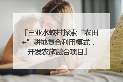三亚水蛟村探索“农田+”耕地复合利用模式，开发农旅融合项目