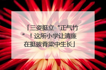三姿挺立“正气竹”！这所小学让清廉在挺拔脊梁中生长