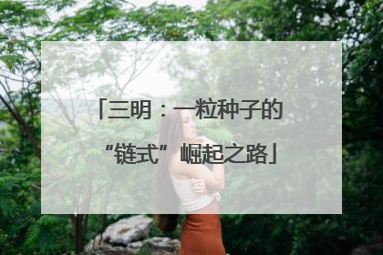 三明：一粒种子的“链式”崛起之路