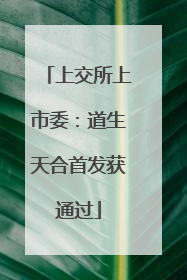 上交所上市委：道生天合首发获通过