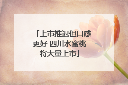 上市推迟但口感更好 四川水蜜桃将大量上市
