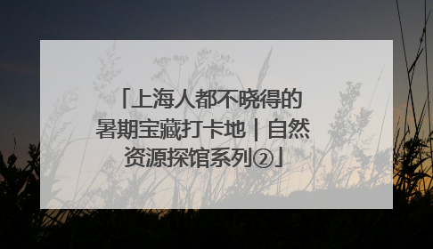 上海人都不晓得的 暑期宝藏打卡地｜自然资源探馆系列②