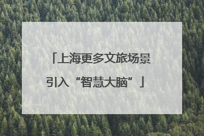 上海更多文旅场景引入“智慧大脑”