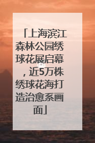 上海滨江森林公园绣球花展启幕，近5万株绣球花海打造治愈系画面